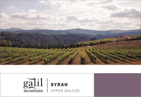 Bottle of Galil Mtn Mountain Winery Syrah 2023